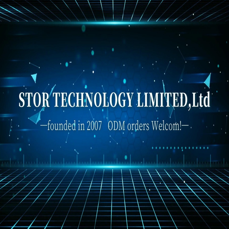 כרטיס פשיטה LSI HBA card STOR TECHNOLOGY LIMITED,Ltd לשרת
